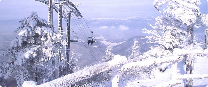Snow Adventure!  ˹�ǫ������