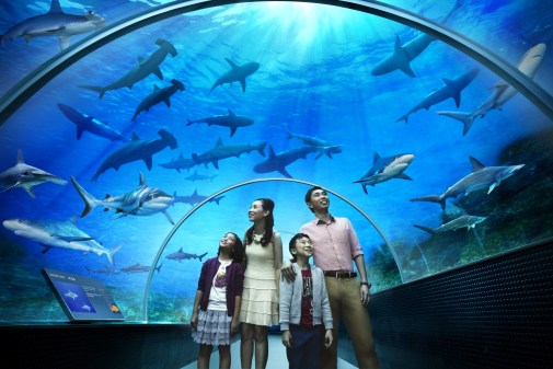 �������š�����ش��ѧ��÷�� S.E.A. Aquarium
